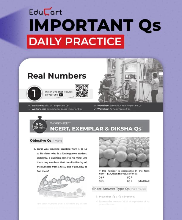 Educart One-shot Mathematics Basic CBSE Class 10 Question Bank 2025-26 on new Syllabus 2026 (Strictly for Boards Exam) - Image 5